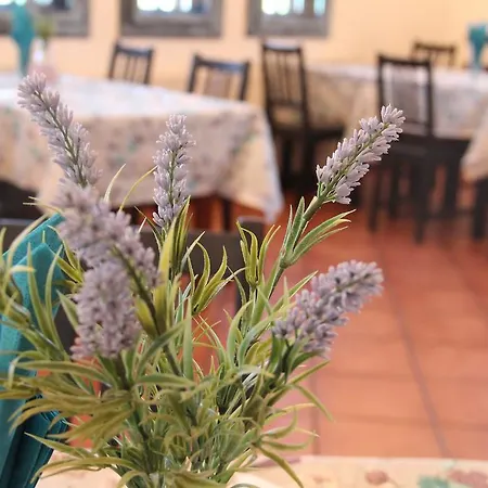 Guest house Къщи За Гости Кедър 2*